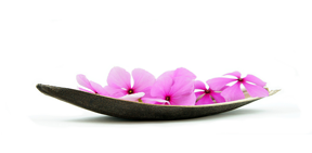 derma cvet derma cvet